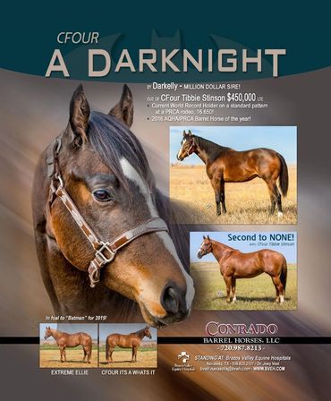 C4 A Darknight Stud PDF