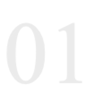 Best resume service orlando, best resume writer orlando, best orlando resume writer, resume writer