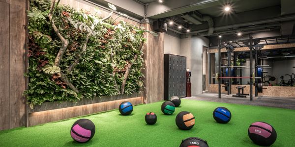 植栽牆 藥球 多功能訓練區 草皮