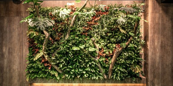 植栽牆 植物 打卡牆