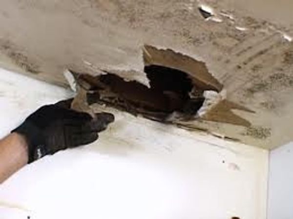 Mold inspection, discovered mold within ceiling. Innovative Home Inspection Canton MI.