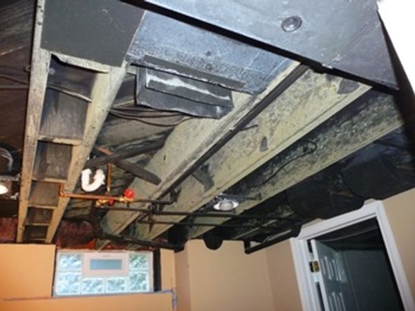 Basement mold inspection, mold on the subfloor due to elevated indoor moisture. Canton MI
