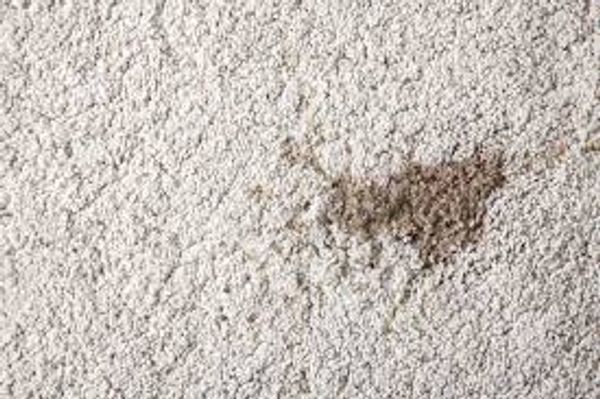 Stain on residential carpet