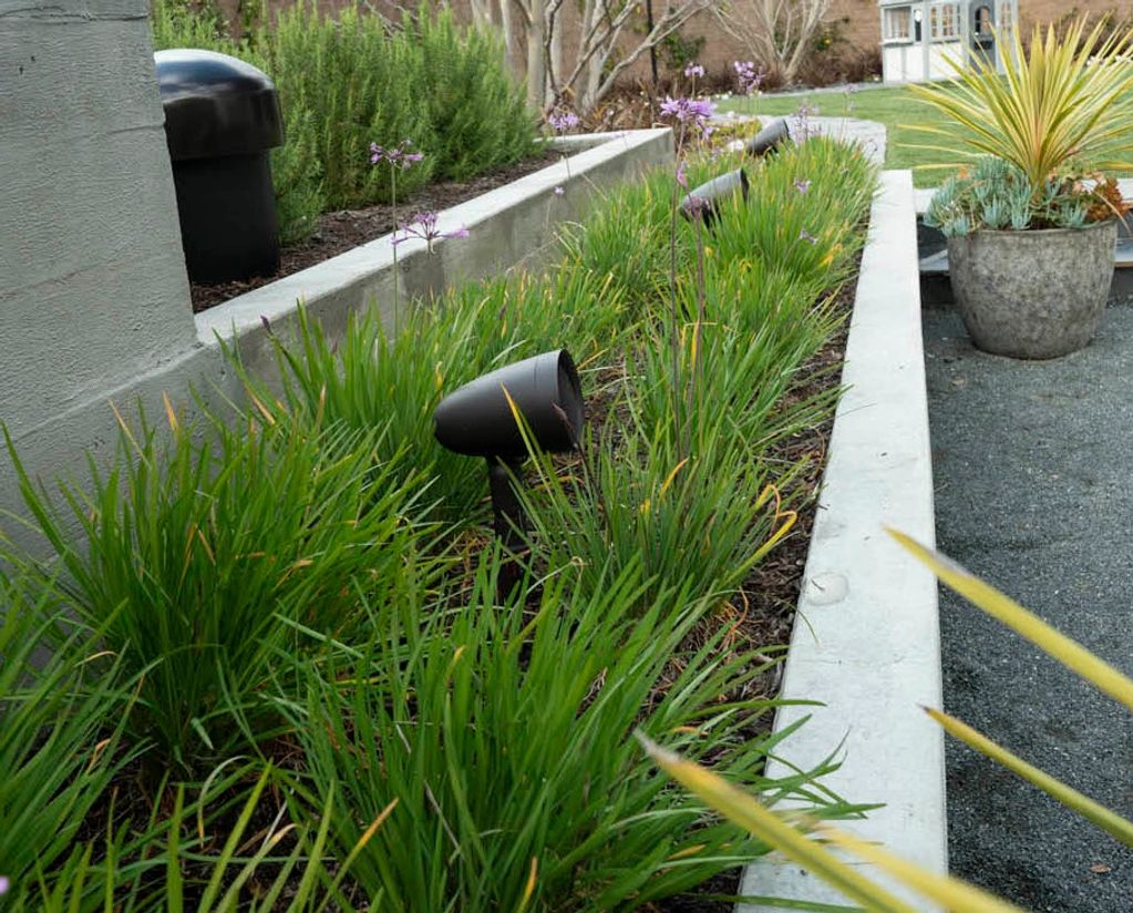 Outdoor Landscape Speakers Dallas, Home Automation Dallas, AV Dallas, Best outdoor speakers dallas