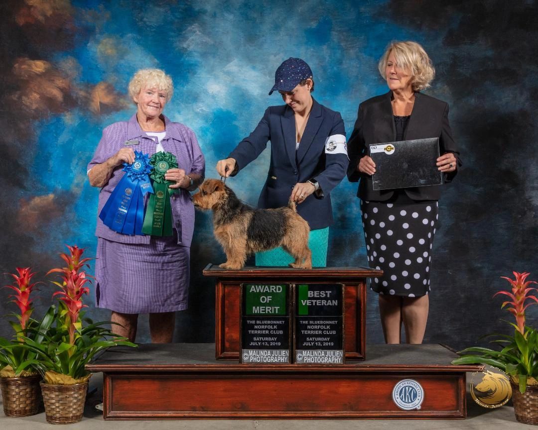 CH Regency's Dark Obsession (Chloe)