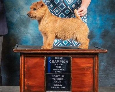 Ch Regency's Justified By Faith (Deanna)