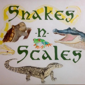 SNAKES-N-SCALES
Let us share our passion of wildlife with you!
