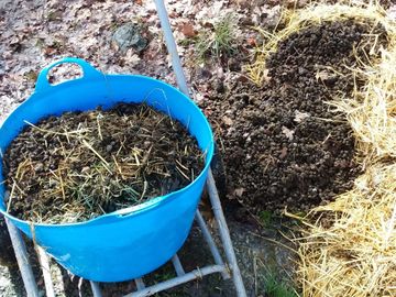 Bucket of fresh beans (manure)