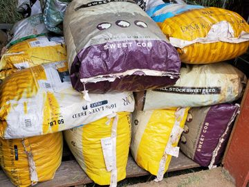 Fresh beans (manure) in a repurposed feedbag