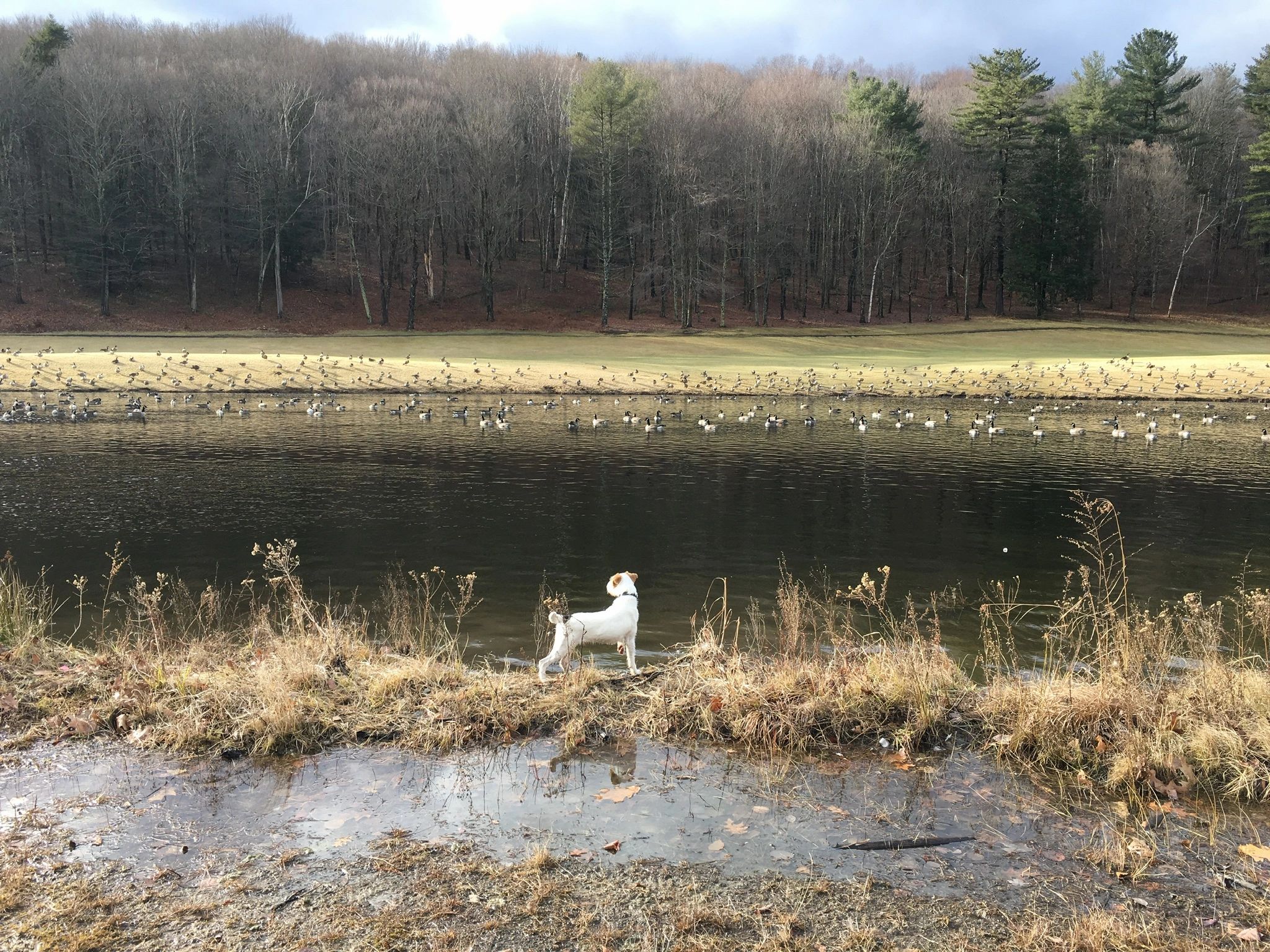 image857