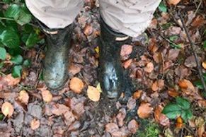 Outdoor counselling and therapy - Ecotherapy