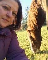 Outdoor counselling and therapy - Equine therapy