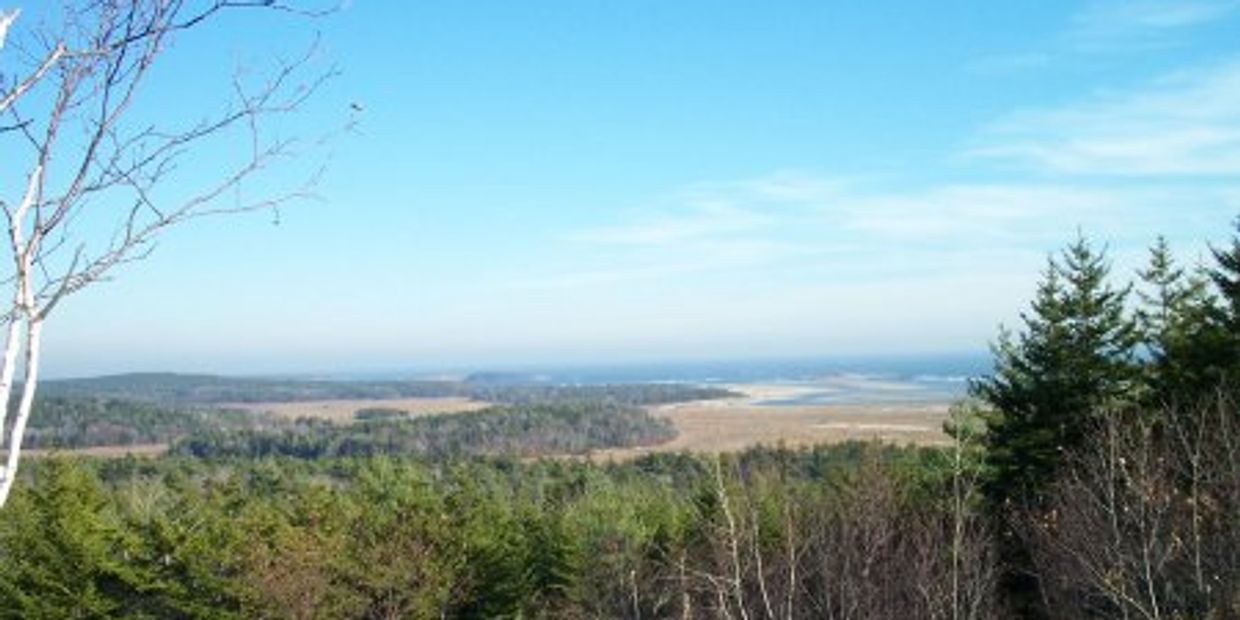 View of ocean, pine trees, and marshes from the top of Morse Mountain / ad for Morse River Rentals, 