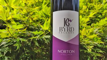 Byrd Cellars Norton wine bottle with Japanese maple background