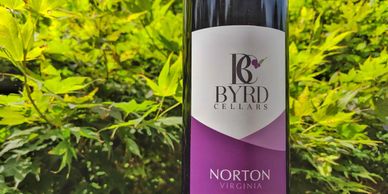 Byrd Cellars Norton wine bottle, green tree leaves background