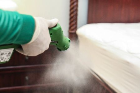 Electrostatic disinfection