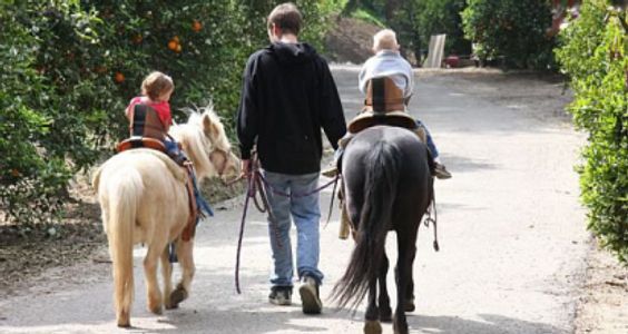 Dillon walking Madilyn on Blondie and Brennan on Smokey at a birthday party❤️