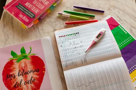 Bitácora del ciclo - Método Sintotérmico