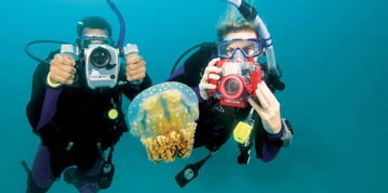 Scuba diving with underwater camera