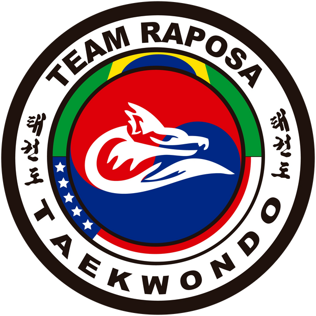 Professional Taekwondo program, best Taekwondo program in the area. Martial arts for the entire fami