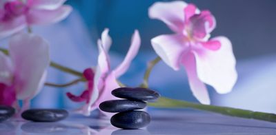 Lotus flowers with stones