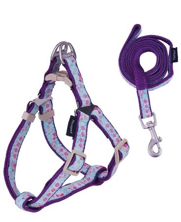 Puppy Collar & Lead Set
$20.00