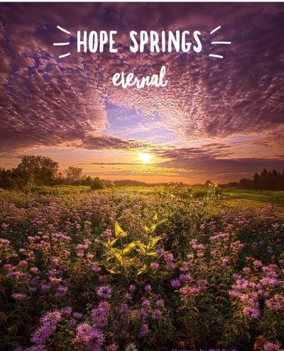 Sunrise over a flower field with hopeful text.