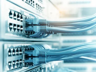 Close-up of network cables plugged into switches.