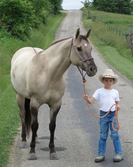 world champion producing mare