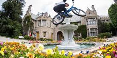 Red Bull at Playboy Mansion / fractional chief marketing officer (cmo)