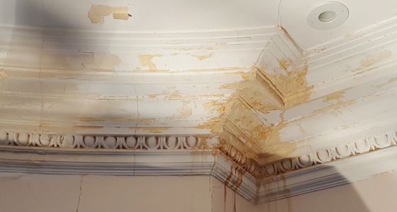 stained crown molding on corner of ceiling