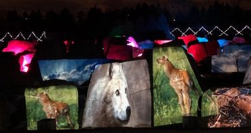 Image projection ... and much more!