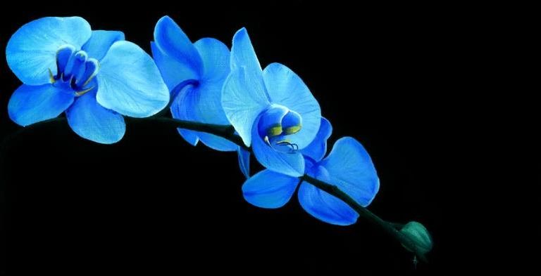 image115