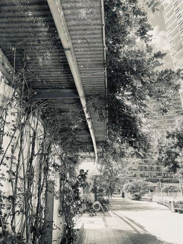 Monochrome, Black and White, Abstract, BNW, B&W, Photography, Abstract Art,