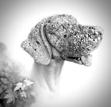 Monochrome, Black and White, Abstract, BNW, B&W, Photography, Abstract Art,