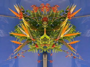 color, abstract, photography, photo, art, colorful, colour, symmetry