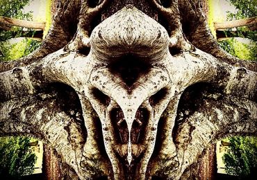 color, abstract, photography, photo, art, colorful, colour, symmetry