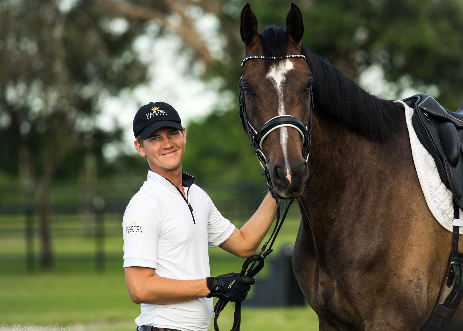 male dressage rider and bay warmblood horse