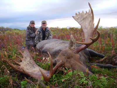 Excellent Moose for Sergio and Norma DesChamps of Monterry, Mexico.