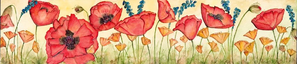 Poppy field