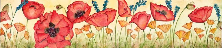 Poppy field