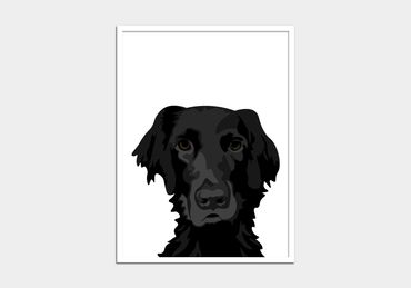 A dog pet portrait.