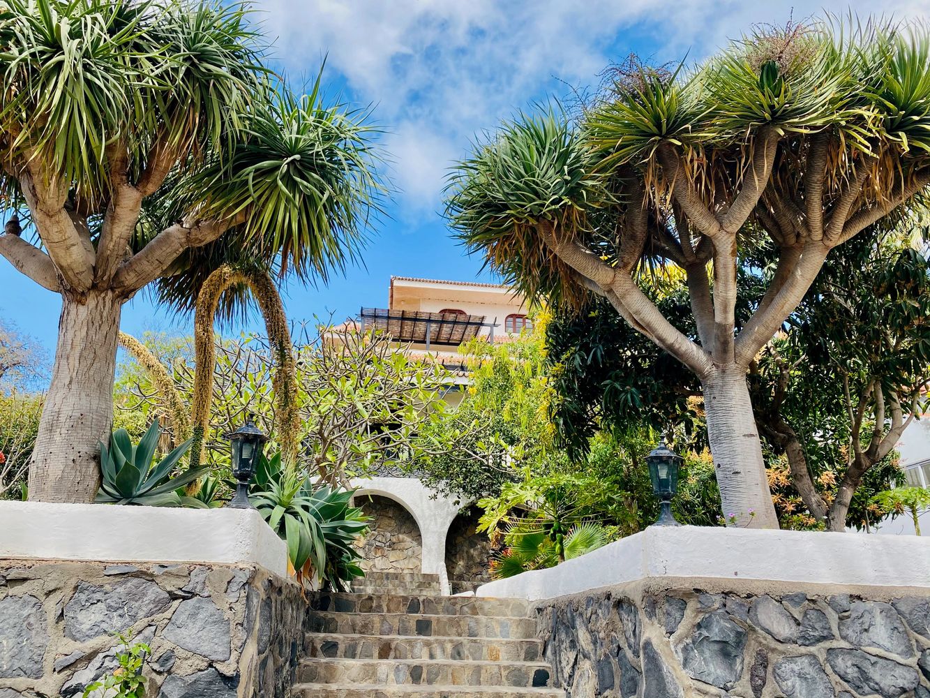 Villa, La Gomera, Valle Gran Rey, Garden, Garden, Vacation