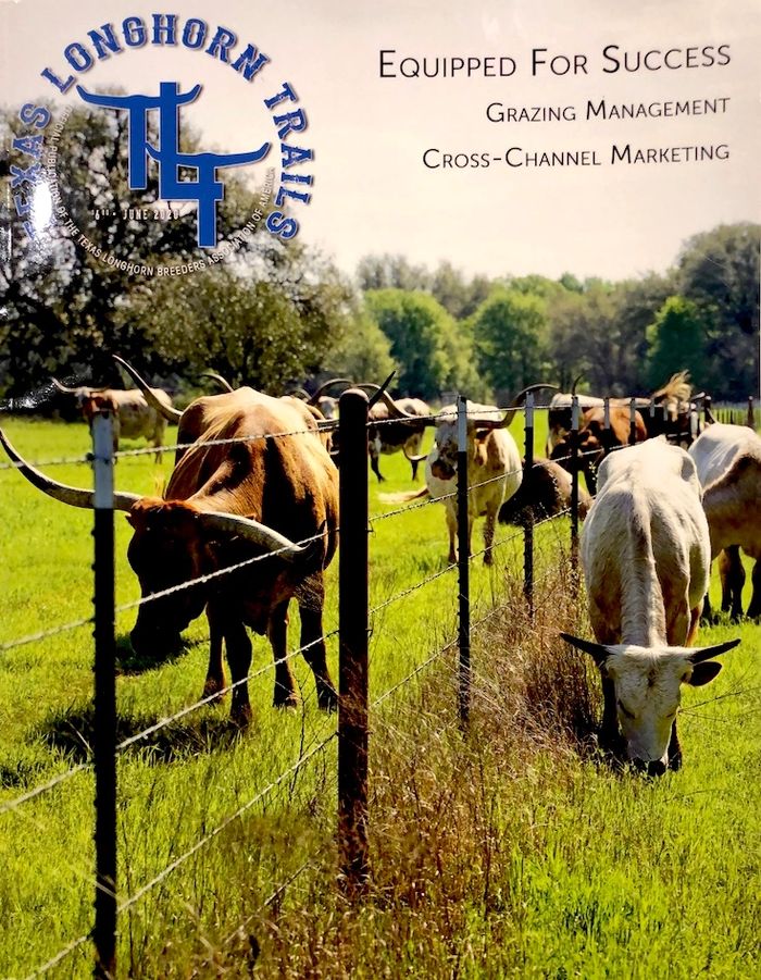 Texas longhorns for sale in Texas, Texas longhorn cattle for sale in Texas, TLBAA Texas Trail cover