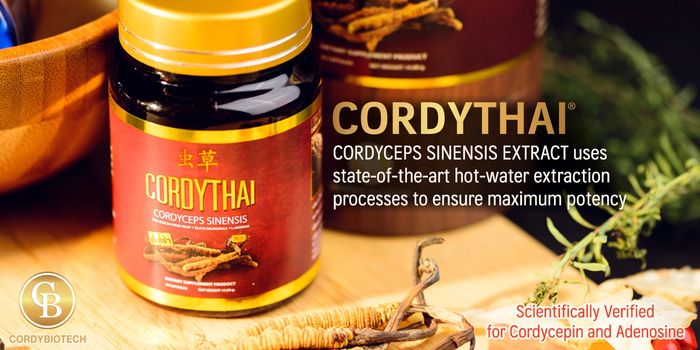 CORDYTHAI Cordyceps extract