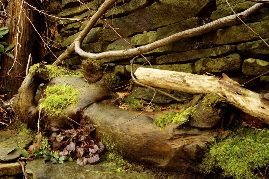 This landscape design of a dry laid Penn stone retaining wall intertwines branches purposely resting among the mossy driftwood and plant-filled surroundings to establish and validate the garden's growth cycles: storm to storm, season to season, and year to year.