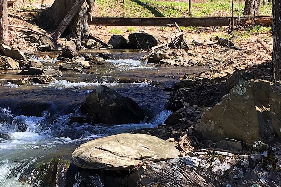 A closeup of a babbling brook with a thirty six foot long log bridge in the background. Engineered with parallams faced with pine slabs, this bridge is a key element in this landscape design. One can imagine King Kong ripped apart a tree and placed it there for Fay Wray to safely cross the turbulent stream.