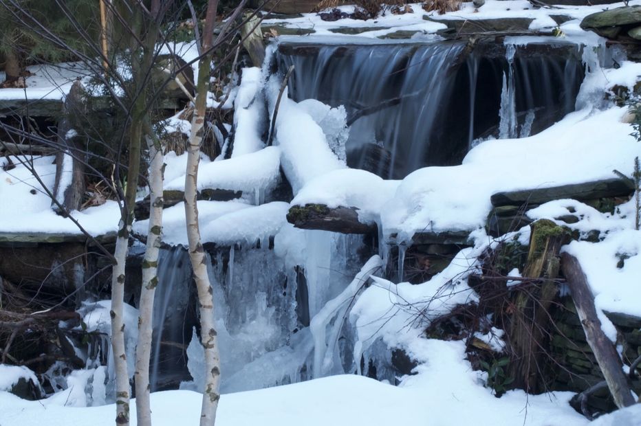 This element of a micro-forest has a “out-of-bounds” waterfall splash from an 11 foot high logjam waterfall. Fed from a bubbling spring up at grade, water flows and falls down multiple sculpted levels in streams and ponds. Water courses over and through dramatically placed driftwood and seemingly into a deep cave. All suggesting to the eye and mind a much grander space.
