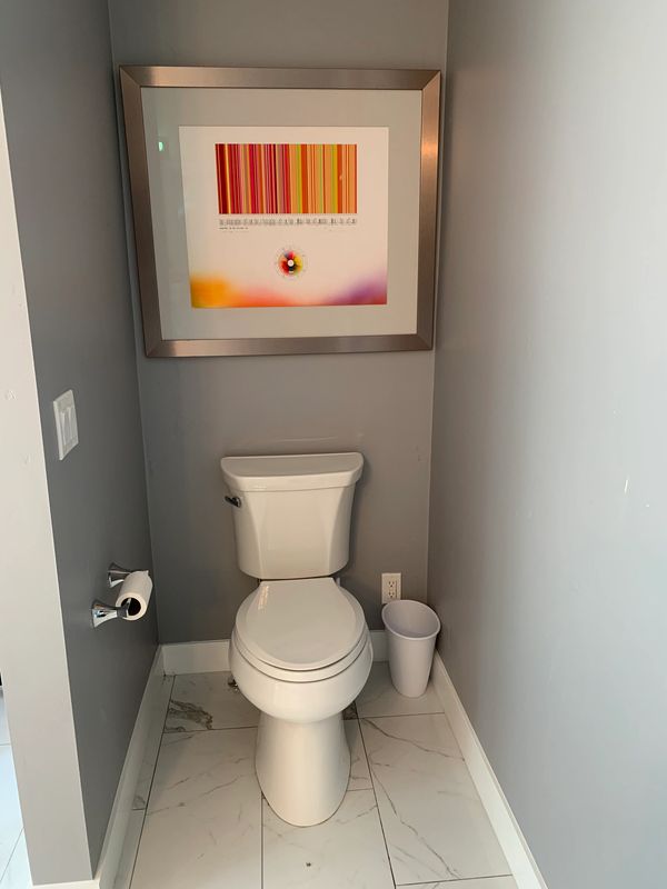 wall painting, toilet and floor tile installation
