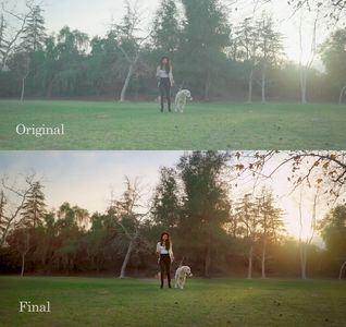Color Grading before & after. Color Balance, color management from treestreet's colorist
© Tree St